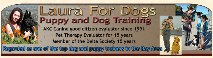 Laura For Dogs - Puppy and Dog Training