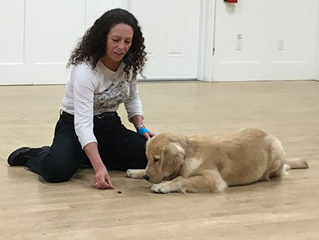 Laura teaching in golden retriever to leave the treat alone.