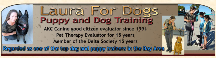 Laura For Dogs - Puppy and Dog Training