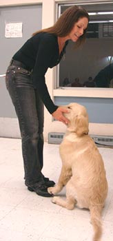 Laura Puppy Training