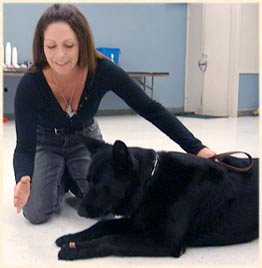 Laura Training