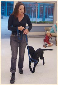 Laura teaching a dog to walk on leash.