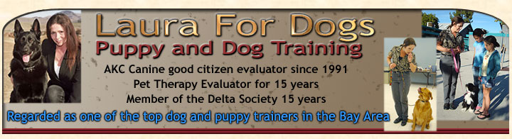 Laura For Dogs - Puppy and Dog Training